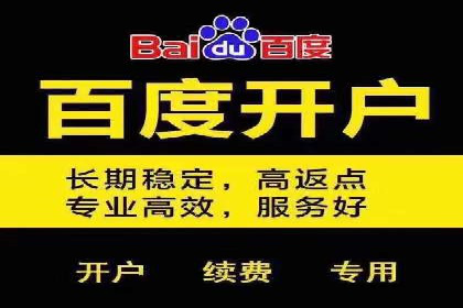 百度推广价格策略：成功案例分享